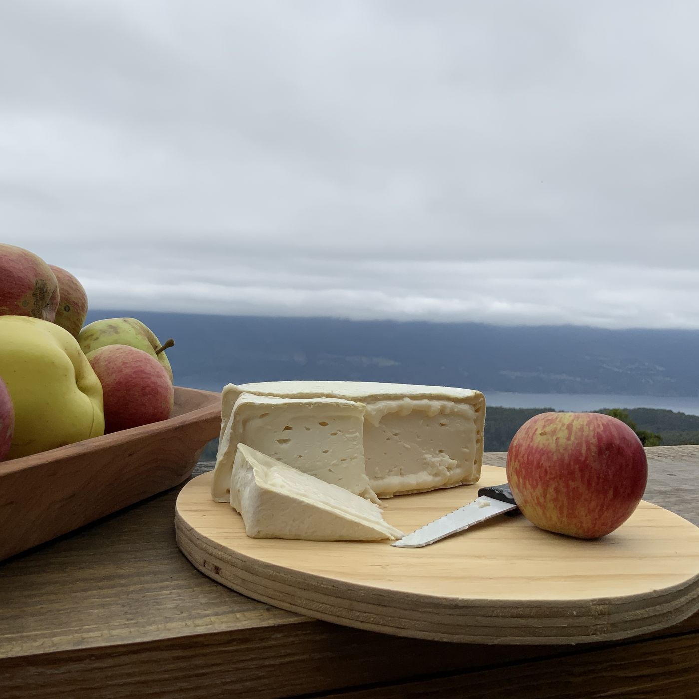 Queso Bruma del Riñihue de Cabra de Los Díaz, Riñihue