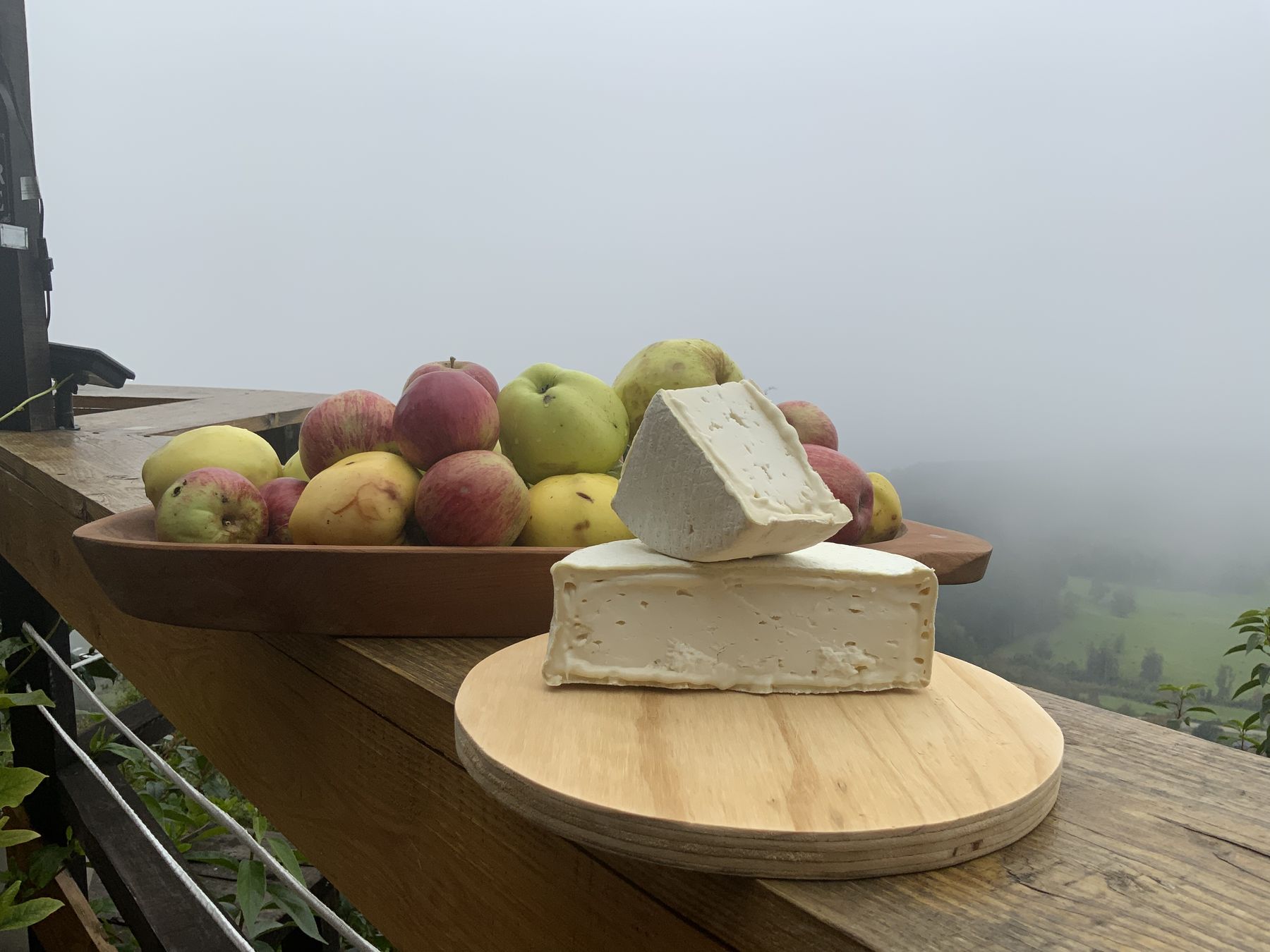 Queso Bruma del Riñihue de Cabra de Los Díaz, Riñihue