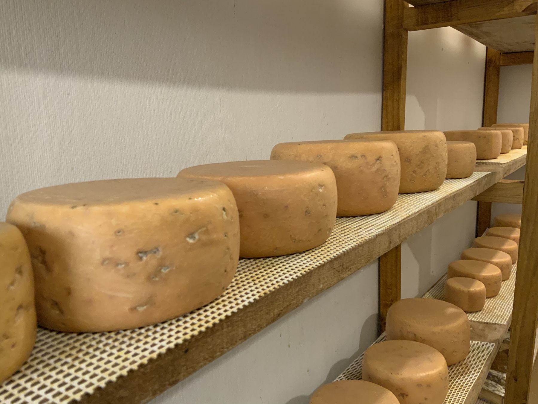 Queso Flor de Crema de Cabra de Los Díaz, Riñihue