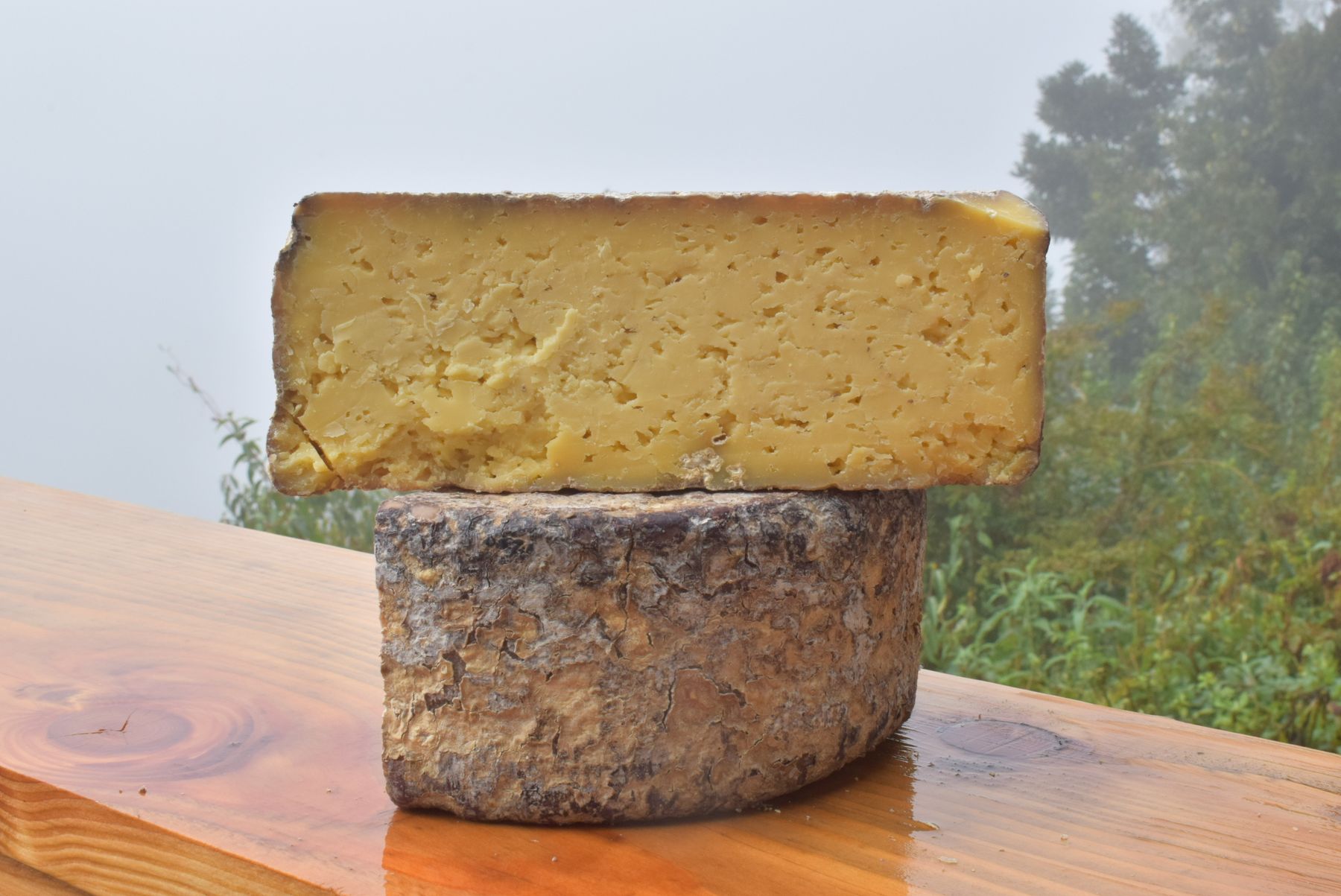 Queso Rivera Sur de Vaca de Los Díaz, Riñihue