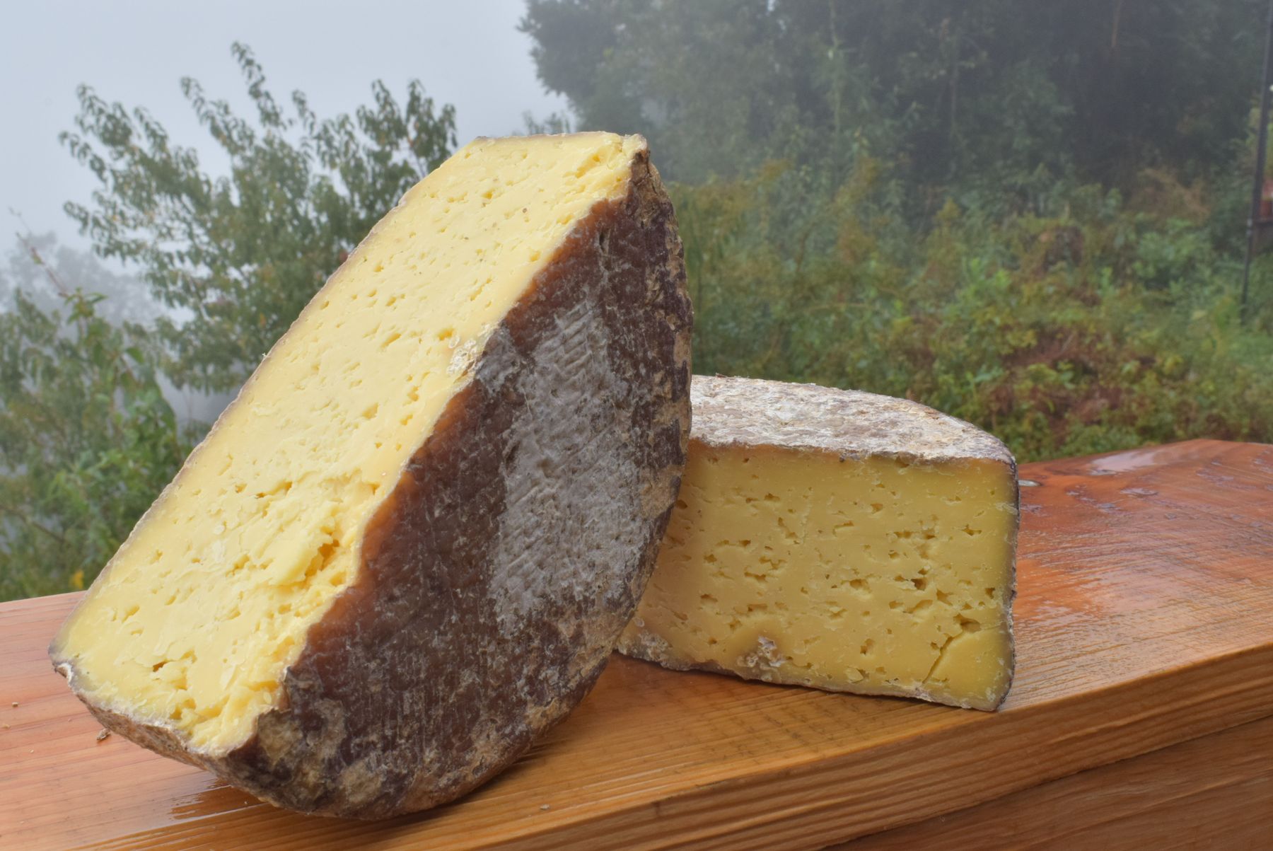 Queso Rivera Sur de Vaca de Los Díaz, Riñihue