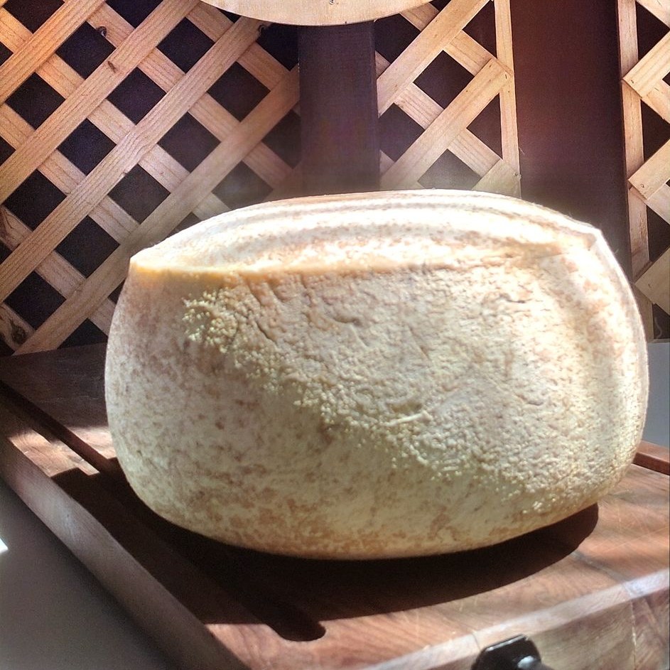 Queso Rivera Sur de Cabra de Los Díaz, Riñihue